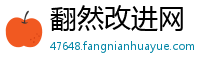 翻然改进网